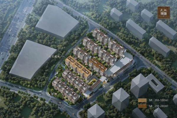 杭州顶豪市场加速分化，核心低密资产迎来价值兑现