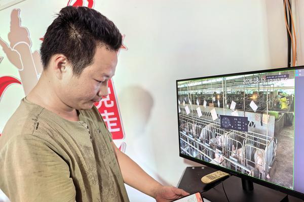 为白海豚上保险、给蔗田插“翅膀”、让猪场长“慧眼”——中华财险助力金融“五篇大文章”扎根广袤山海