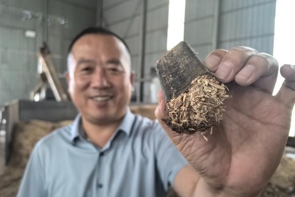 科技“加持”小菌棒！临县枣木香菇跑出全产业链升级“加速度”