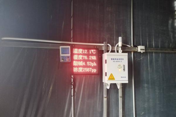 科技“加持”小菌棒！临县枣木香菇跑出全产业链升级“加速度”