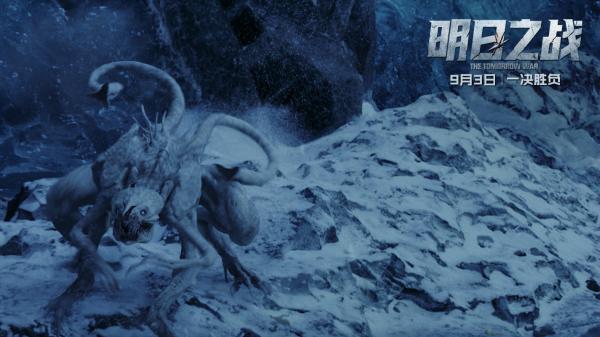 冰雪中的白长钉.jpg