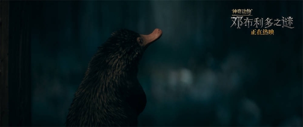 《神奇动物：邓布利多之谜》发布“萌兽出击”片段 人气组合嗅嗅护树罗锅惊爆塑料情