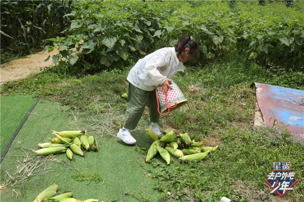 《去户外吧少年》预告|白凯南变身最强大师兄 张颜颜综艺首秀