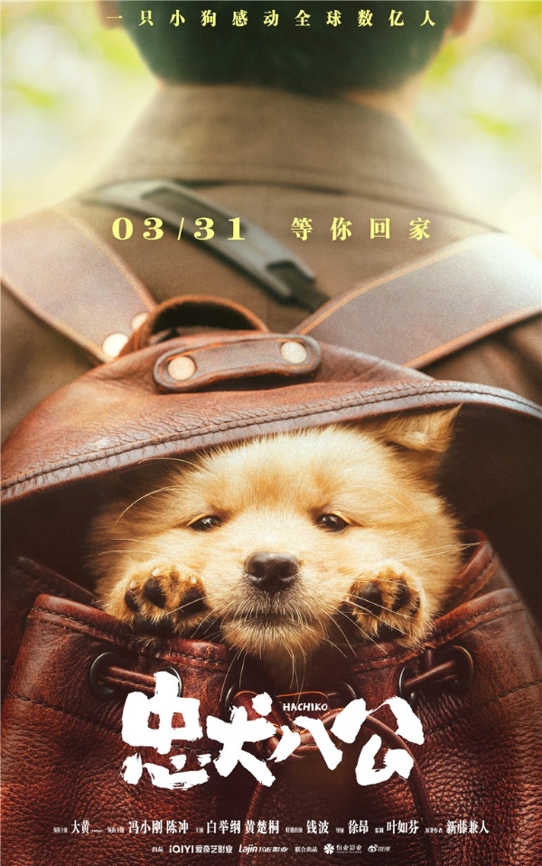 《忠犬八公》发布“狗狗超会演”特辑及海报 人和狗狗戏里戏外有爱相伴