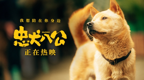 中国版《忠犬八公》全新特辑曝光 狗狗主演竟是流浪狗