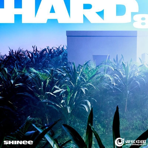 SHINee正规8辑《HARD》图片.jpg