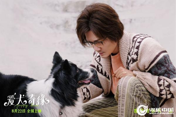 电影《爱犬奇缘》定档8月22日 浪漫七夕萌宠相伴 欢乐不止