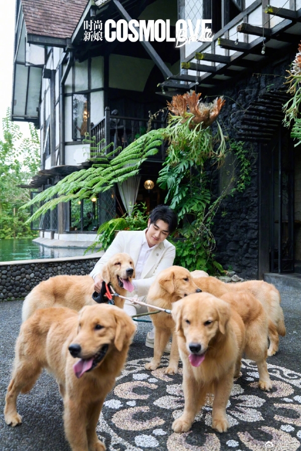 从全网嘲到全网哭！金莎孙丞潇婚纱照太好嗑