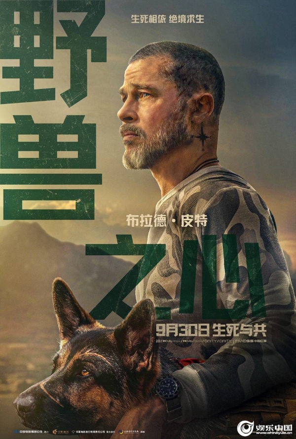 定档海报.jpg