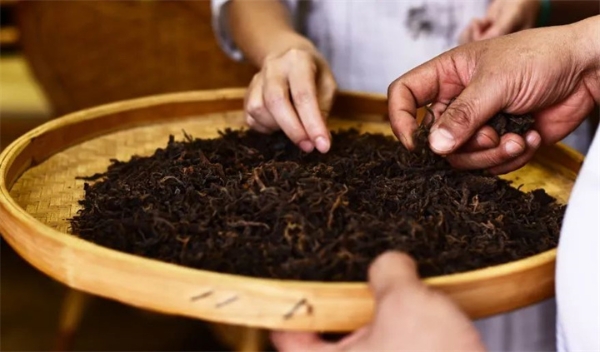 熟茶不好喝？那可能是你没选对茶