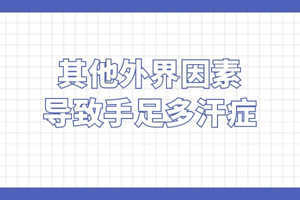 其他因素