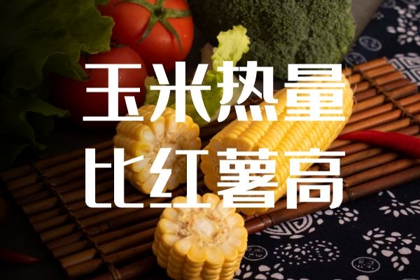 玉米热量比红薯高