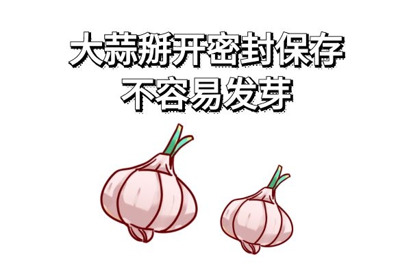 大蒜发芽能吃吗|大蒜发芽能吃吗？大蒜怎样保存才不会发芽呢？