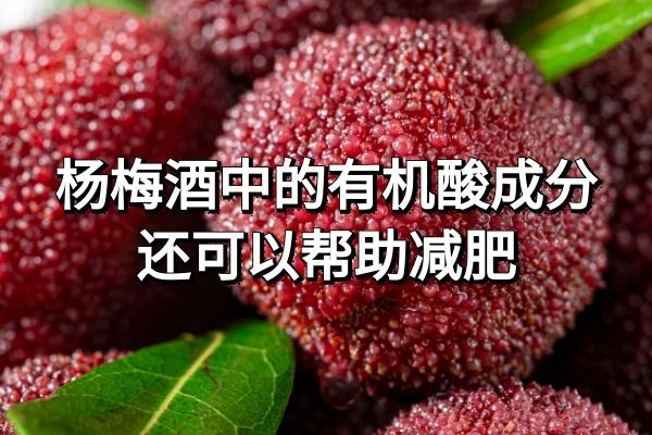 帮助减肥