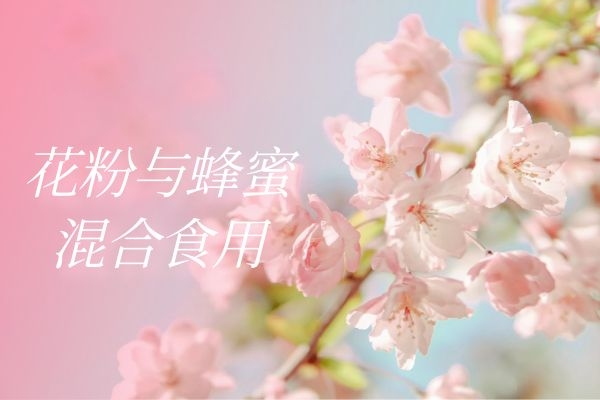 花粉与蜂蜜混合食用