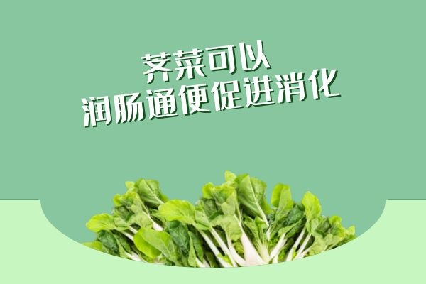 润肠通便促进消化