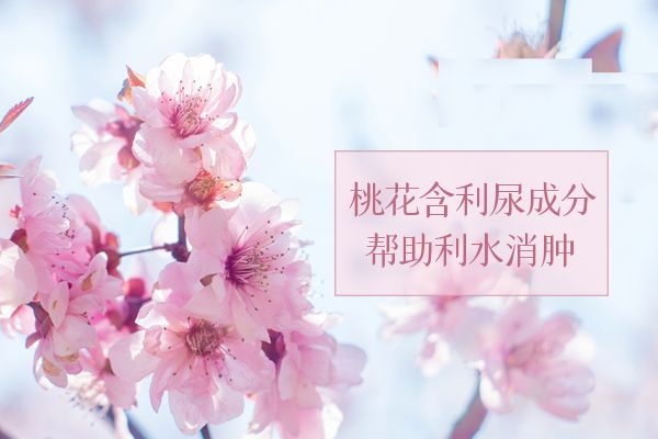可以利水消肿
