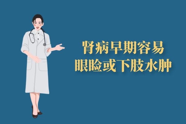 眼睑或下肢水肿