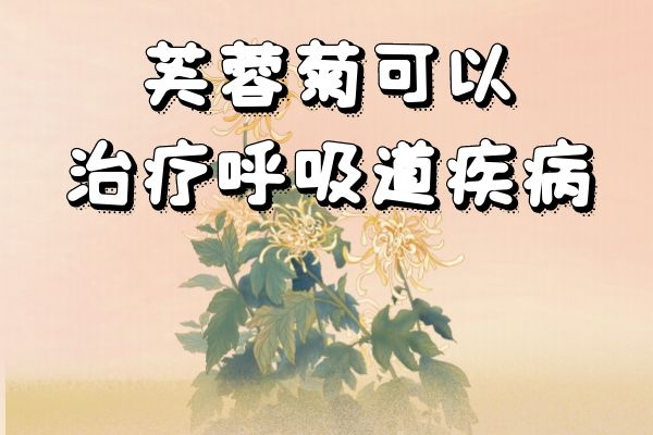 治疗呼吸道疾病