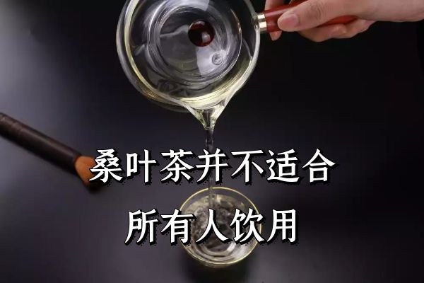 桑叶茶禁忌人群