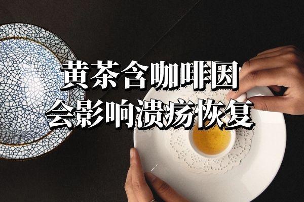 饮用黄茶的禁忌事项有哪些呢？