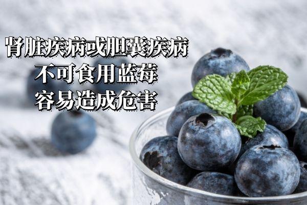 蓝莓的功效与作用及食用禁忌有哪些？
