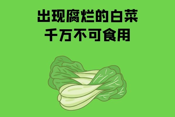 不可食用腐烂白菜