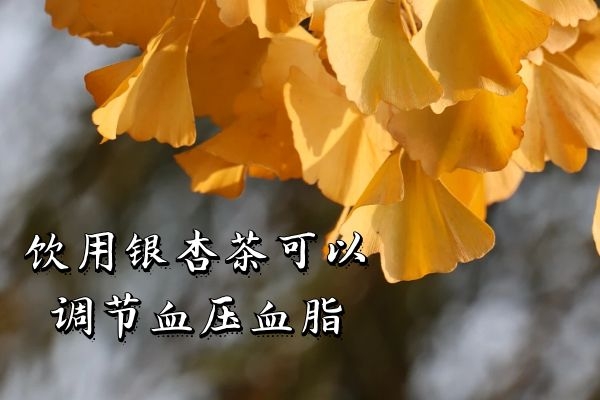 调节血压血脂