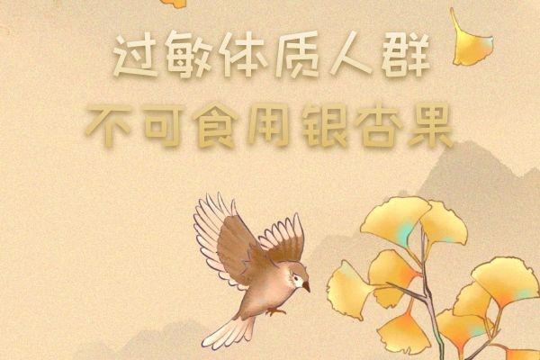 银杏果的禁忌人群有哪些？这几类人不宜吃银杏果