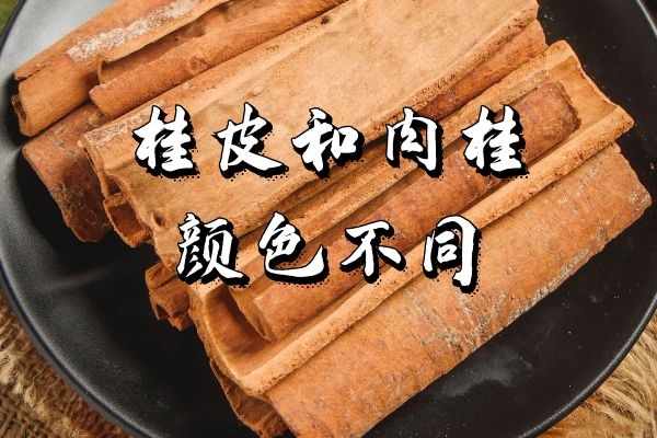 桂皮与肉桂的区别是什么?怎么区分呢?