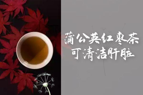 蒲公英红枣茶的功效与作用及饮用禁忌有哪些？