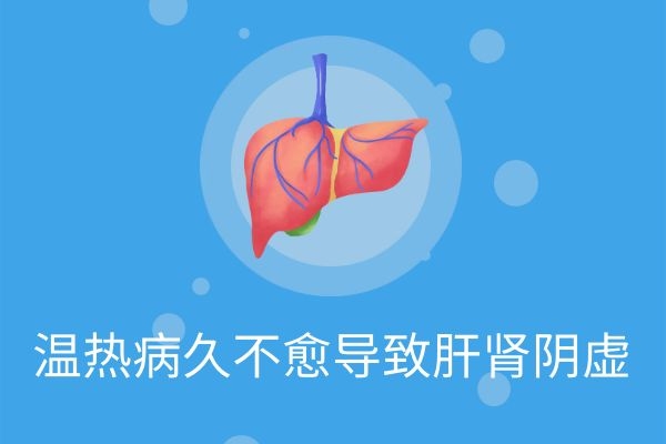 温热病久不愈