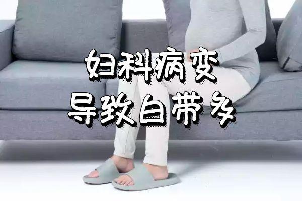 导致白带增多的原因有哪些？常见的有这三大类