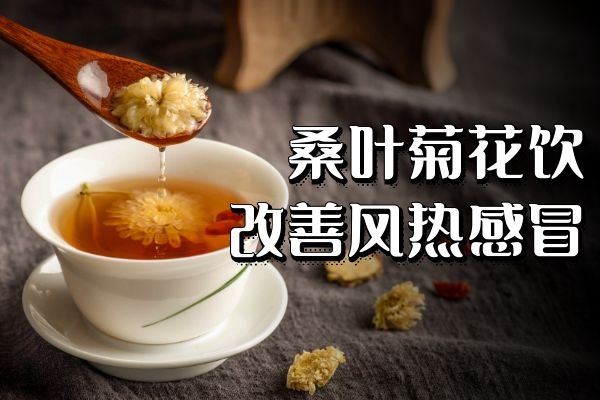 桑叶菊花饮