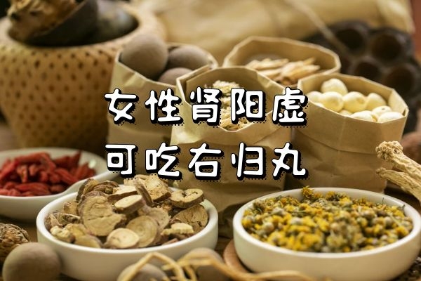 补肾经吃什么图片