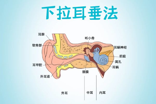 下拉耳垂法