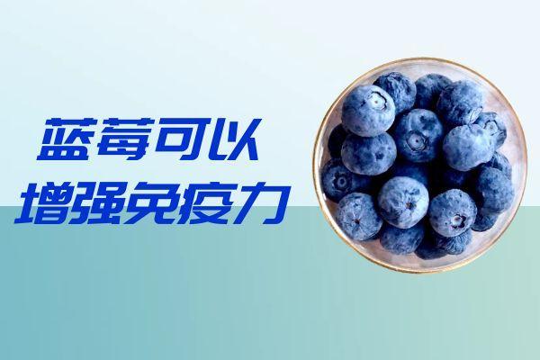 女性吃蓝莓的好处与坏处有哪些？