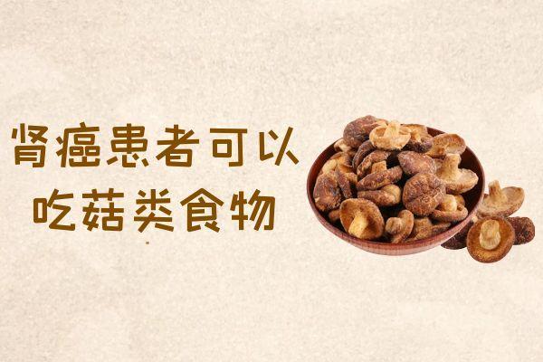 肾癌患者可以吃的食物有哪些？哪些食物可抑制病情？