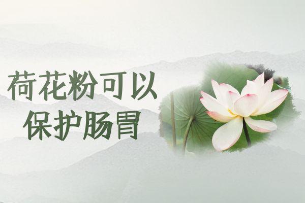 关于荷花粉的功效与作用及禁忌你了解多少？