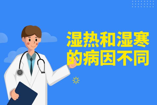 湿热和湿寒的病因不同