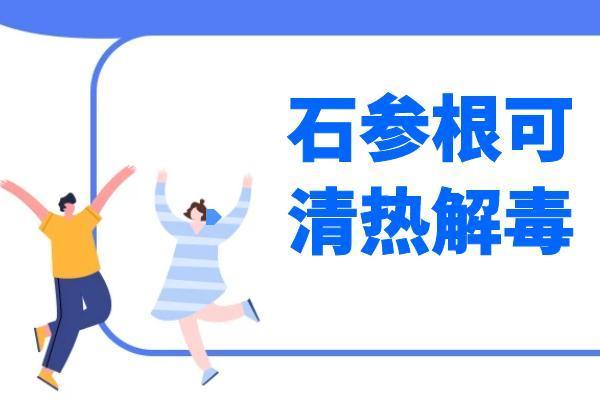 石参根|石参根的功效与作用 吃石参根有什么好处？