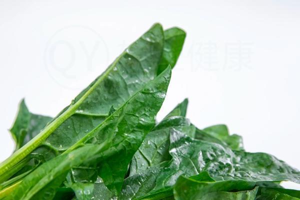 菠菜食谱推荐