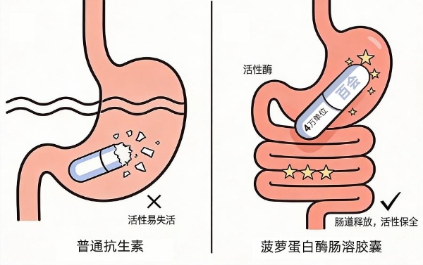 春节前变美消肿成刚需，菠萝里藏着答案
