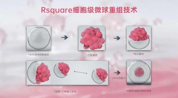 重磅里程碑！韩国大熊CGBIO×浙江上行诗正式签约！共推ELOYAN伊乐颜