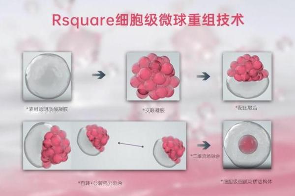 重磅里程碑！韩国大熊CGBIO×浙江上行诗正式签约！共推ELOYAN伊乐颜 