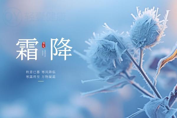 跟着二十四节气喝汤——霜降