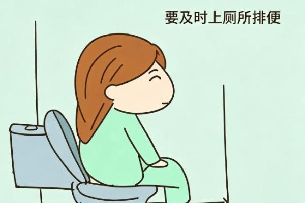 便秘反反复复不好？别慌！科学调理双管齐下，温和护肠更长效 