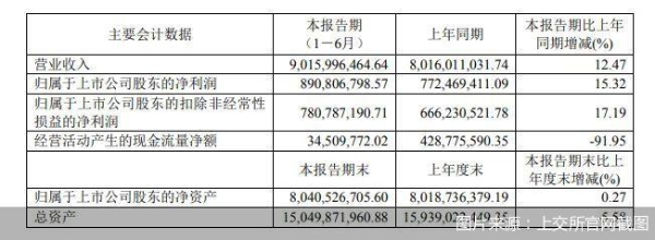 图片来源：上交所官网截图