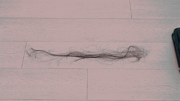 12.gif