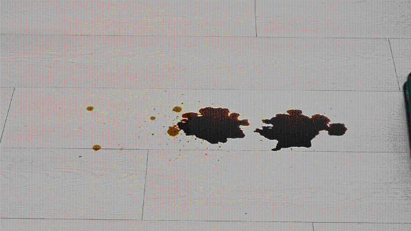 05.gif